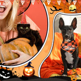 3 x Brand New Aoriher Pet Halloween Costume Dog Bandana and Pet Witch Hat Cat Bib with Bat and Pumpkin Pattern Halloween Accessories for Dogs and Cats - RRP €54.0