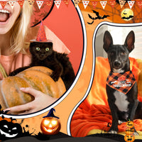 4 x Brand New Aoriher Pet Halloween Costume Dog Bandana and Pet Witch Hat Cat Bib with Bat and Pumpkin Pattern Halloween Accessories for Dogs and Cats - RRP €72.0