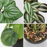 1 x RAW Customer Returns Briful set of 3 artificial plants, like real artificial houseplants, decorative plants for living room, bathroom decoration, height approx. 15 cm, in a black ceramic pot - RRP €24.19