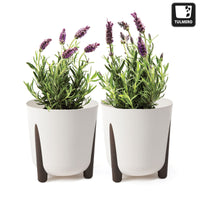 1 x RAW Customer Returns TULMERO matt flower pot, plant pot made of plastic planter, decorative pot for large and small plants, set of 2 flower pots, flower pots, herb pots, 2 pack gray, 34 cm - RRP €36.17