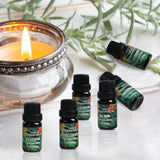 12 x Brand New Essential Oils Set 6x10ml, Natural Aromatic Diffuser Aromatherapy, Used For Diffuser, Massage, Christmas Gifts Lavender, Eucalyptus, Lemon, Sweet Orange, Tea Tree, Mint  - RRP €145.2