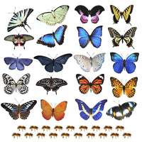 1 x RAW Customer Returns Andiker 20 Pieces Anti-Collision Butterfly Window Stickers, Great Window Decoration Window Stickers to Alarm Window Decals Prevent Bird Attacks on Window Glass - RRP €7.75