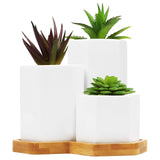 1 x RAW Customer Returns BELLE VOUS White Small Flower Pots for Succulents with Bamboo Tray 3-Pack Small, Medium Large Planter Set with Drainage Holes - for Office, Indoor Table Outdoor Garden - RRP €21.26