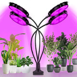 3 x Brand New Kethvoz plant lamp LED growth lamp, full spectrum plant grow light lamp with 4 bulbs 4 8 12H timer 5 light brightness for aquarium houseplants succulent vegetables cultivation KE-GL-R4 - RRP €80.13