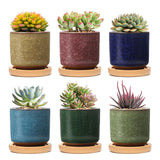 1 x RAW Customer Returns T4U 6.3cm Ceramic Succulent Pots Cactus Plant Pots Mini Flower Pots ICE Crack Higher Series 6 Colors Set with Saucer - RRP €20.45