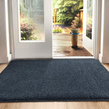 1 x RAW Customer Returns DEXI dirt trapper mat, non-slip doormat for indoor and outdoor use, washable entrance carpet, absorbent doormat - cleaning mat 90 x 150 cm, blue-black - RRP €56.46