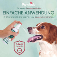 1 x RAW Customer Returns Pawlie s Dental Spray for Dogs - Tartar Remover Dog, Dental Care Against Bad Breath, Tartar, Plaque Anti-tartar spray Sugar-free Vegan Natural Tooth spray for healthy oral hygiene - RRP €20.16