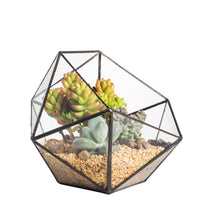 1 x RAW Customer Returns NCYP Modern Glass Geometric Plant Terrarium, Handmade Half Ball Shape Flower Pot, Clear Windowsill Centerpiece Decor Succulent Planter No Plants Included  - RRP €30.94