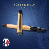 1 x RAW Customer Returns Waterman Expert fountain pen Silver metallic finish with ruthenium trim Medium stainless steel nib with PVD coating Blue ink In gift box, 1 piece 1 pack  - RRP €99.0