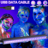 1 x RAW Customer Returns LED Blacklight, 2 Pack UV Blacklight Lamp Bar, 5W 28cm USB Black Light Bar, Blacklight Tube with Plug Switch, UV Light Strip Party Light for Party Disco Club Bar Stage Lighting - RRP €13.1