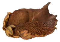 1 x RAW Customer Returns Vivid Arts Sleeping Baby Red Squirrel in Leaf Resin Home or Garden Decoration XRL-RS02-F - RRP €24.99