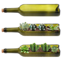 1 x RAW Customer Returns BELLE VOUS Pack of 3 Glass Wine Bottle Succulent Flower Box Vintage Flower Pot - L32 x W7.1 cm Oval Cutout - Vintage Decoration for Plants, Flowers, Cacti, Bamboo, Garden, Terrarium DIY Decoration - RRP €27.97