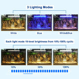 1 x RAW Customer Returns BELLALICHT LED Timer Aquarium Lighting - Aquarium Lamp White Blue Light with built-in Timer Dimmer, Dimmable 10 Brightness Levels IP67 Waterproof Light for Fish Tank Plant, L-58 - RRP €32.76