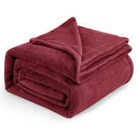 1 x RAW Customer Returns BEDSURE Cuddly Blanket, Fluffy Blanket, Fleece Blanket - Warm Winter Soft Sofa Blanket, Sofa Blanket - RRP €29.51