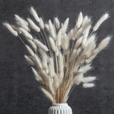 1 x RAW Customer Returns 120 x Dried Lagurus Pampas Grass Pampas Decoration Dried Flowers Dried Flower Bouquet Natural Flower Decoration Grasses for Wedding Interior Decoration Bedroom Living Room White  - RRP €12.1