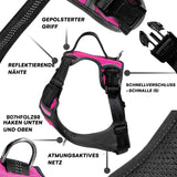 18 x Brand New Black Rhino the Comfort Dog Harness with Mesh Padded Vest for Small Large Breeds Adjustable Reflective 2 Leash Attachments on Chest Small, Pink BL , Halti for Dogs - RRP €547.92