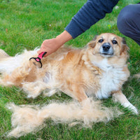 6 x Brand New Dog Cat Brush, Pet Grooming Rake and Brushes for Small, Medium and Large Dogs, 17 9, Double Sided Deshedding Tool with Comb for Dogs - RRP €108.0