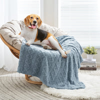 1 x RAW Customer Returns MIULEE Dog Blanket 70x100 cm Cuddly Blanket Dogs Soft Blankets Cats Fleece Blanket Washable Sleeping Pad Suitable for Dogs, Cats, Guinea Pigs and Other Animals Light Blue - RRP €15.49