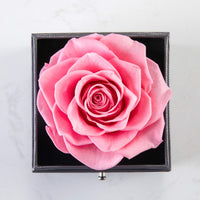 24 x Brand New Gifts for her preserved real rose drawer Eternal handmade preserved rose with necklace 100 languages gift, enchanted real rose flower for Valentine s Day Mother s Day Sweet Pink  - RRP €725.76