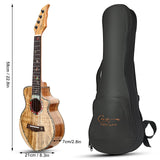 1 x RAW Customer Returns Hricane Concert Ukulele made of Koa Solid Acacia Professional smooth glossy Ukuleles Hawaii Ukele Concert Musical Instruments 23 inches with Bag - RRP €123.85