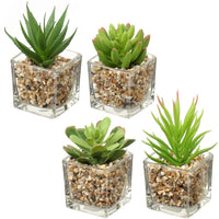 1 x RAW Customer Returns Briful Artificial Plant Artificial Succulent Plant Houseplant Decorative Living Room Bathroom Decorative Plant Succulent Height 8 cm in a Glass Pot Set of 3 - RRP €20.16