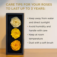 1 x RAW Customer Returns Preserved Roses for Mother s Day in a Wooden Box, 3 Yellow Birthday Flowers for Delivery from Prime, Eternal Flowers, Natural Eternal Roses That Last for Years, Eternal Rose, Gift for Mom - RRP €15.12