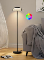 1 x RAW Customer Returns Henzin LED floor lamps for living room and bedroom reading lighting dimmable floor lamp with stepless dimming RGB color change modern standard lights black  - RRP €37.99