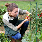 1 x RAW Customer Returns Pack of 2 tomato and cucumber trellises Adjustable trellises for tomatoes Tomato trellises Tomato trellises Tomato stakes Tomato columns Flowers plants - RRP €26.1