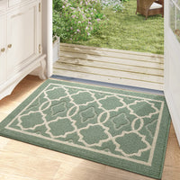 1 x RAW Customer Returns DEXI indoor doormat 80 x 120 cm, washable dirt trapping mat, non-slip doormat, indoor water-absorbing doormat, front door, entrance carpet, front door mat, door mat - green - RRP €40.31