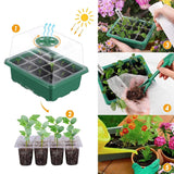 4 x Brand New Shengruili 10 Pieces Mini Greenhouse for Plants, Mini Greenhouse for Seedlings, Plants Seed Trays, Seedling Trays Starter Kit, Seedling Tray, Seedling Tray Kit - RRP €76.8