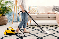 1 x RAW Customer Returns Linsar - Multi-steam cleaner - 4 bar steam pressure - 45 min. hot steam with 1x tank filling 1.5L - Up to 100 degrees - 2.5m cable length - 1500 watts - RRP €105.88