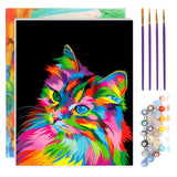 1 x Brand New TONZOM Paint by Numbers for Adults Kids Beginner, DIY Painting by Numbers on Canvas Colorful Cat 16 x 20 inch with Wooden Frame - RRP €19.2