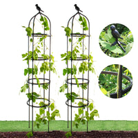 1 x RAW Customer Returns Tomato trellis 160 cm, trellises for climbing plants, obelisk trellis plant support, peony pea tomato cucumber trellis plant support 2 pieces  - RRP €28.22