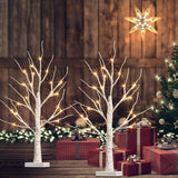 1 x RAW Customer Returns EAMBRITE Set of 2 Light Tree Light Branches for Indoor Use 24 Warm White LEDs Tree Birch Decorative Branches Battery Operated Christmas Decoration for Home Party Birthday Wedding Interior Decoration 60cm 2ft  - RRP €25.2