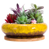 1 x RAW Customer Returns ARTKETTY 18.5 cm Round Succulent Planters Pots with Drainage Hole Bonsai Pots Garden Decorative Cactus Stand Ceramic Glazed Cactus Flower Pots Yellow with Bamboo Saucer - RRP €20.4