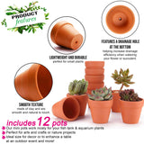 1 x RAW Customer Returns Garden Mania 12pcs Mini Ceramic Terracotta Flower Pots with Drain Hole 8cm - RRP €19.88