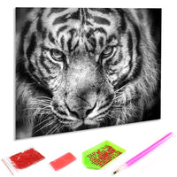 1 x Brand New Hoobee 5D Diamond Painting Tiger, Diamond Painting Pictures Animal, Diamond Painting Adults, Full Drill Embroidery Cross Stitch Art Craft for Home Wall Decoration 30 40 cm  - RRP €10.02