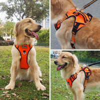 8 x Brand New Pattepoint Dog Harness for Walking Training, Adjustable Vest with Handle, Escape Proof Dog Harness for Medium Dogs Orange - S - RRP €169.36