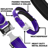 7 x Brand New Black Rhino Tactical Dog Collar, Ultra Soft Neoprene Padded Dog Collars for Medium Large XL Dogs, Padded Handle for Dog Training Medium, Purple  - RRP €160.93