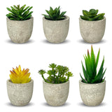 1 x RAW Customer Returns newkaijian Pack of 6 artificial plants with pots, decorative green plants, faux succulents for decorating desks, bedrooms, balconies and gardens - RRP €22.18