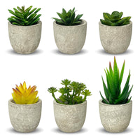 1 x RAW Customer Returns newkaijian 6pcs Artificial Plants with Pots Decorative Green Plants Faux Succulents For Decorating Desks, Bedrooms, Balconies and Gardens - RRP €22.18