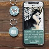 1 x Brand New DISONTAG QR Code Dog Tag ID 41 Dog Breeds Personalized Social Online Page-Free Online Pet Profile-Modifiable-Privacy Control-No APP Required - RRP €16.8