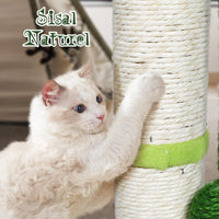 2 x Brand New HEVOL Cat Tree, Natural Sisal Cat Scratching Post, with Hanging Ball and Spring Ball, 130CM Cat Scratching Post, Suitable for Indoor and Large Kittens - Green 3 Round Base - RRP €71.98