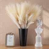 1 x RAW Customer Returns ORTAVA Pampas Grass Large, 55 cm Pampas Grass Artificial Flower Bouquet, Pampas Grass Decoration, Deal for Boho Living Room Bedroom Decoration - RRP €15.12