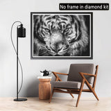 1 x Brand New Hoobee 5D Diamond Painting Tiger, Diamond Painting Pictures Animal, Diamond Painting Adults, Full Drill Embroidery Cross Stitch Art Craft for Home Wall Decoration 30 40 cm  - RRP €10.02