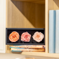 1 x RAW Customer Returns Mother s Day Preserved Roses in a Wooden Box, 3 Pink Birthday Flowers for Prime Delivery, Eternal Flowers, Natural Eternal Roses That Last for Years, Forever Rose, Gift for Mom - RRP €19.99