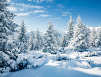 1 x RAW Customer Returns AIIKES 10x8FT Snowscape Backdrop Winter Forest Snow Tree Photography Background Outdoor Sky Winter Snowfield Landscape Snowcapped Pine Trees Photo Studio Props 12-346 - RRP €43.36