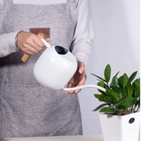 1 x RAW Customer Returns IMEEA 1L wooden handle watering can, smaller potted plants, stainless steel watering can with long spout and comfortable for houseplants succulents white  - RRP €34.07