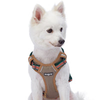 1 x Brand New Blueberry Pet - Pet Harness with 3M Reflective Strip, Padded, Multi-Colour, 9 Colours - RRP €20.4