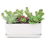 1 x RAW Customer Returns Pure.Lifestyle, porcelain flower pot, rectangular succulent pot with saucer, 2-part planter, matt white - RRP €18.14